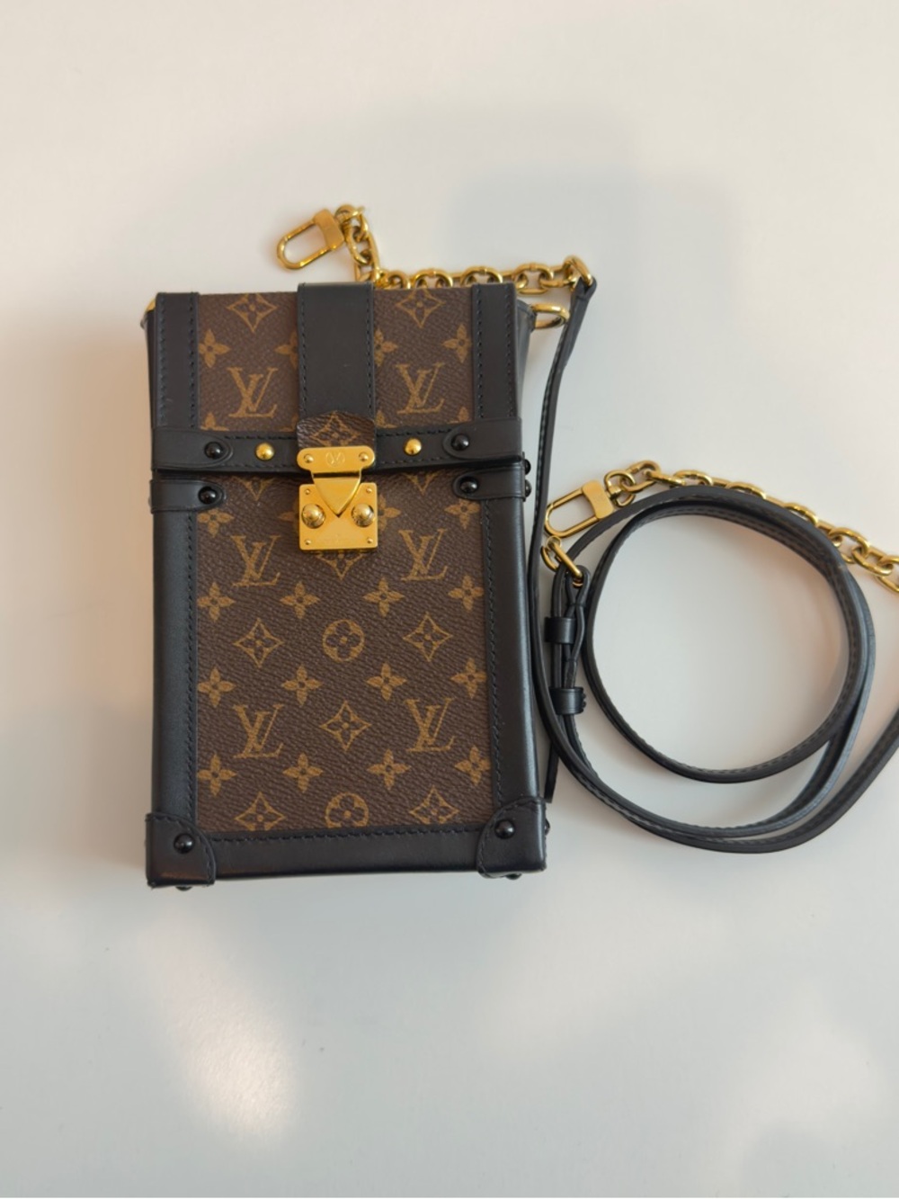 Louis Vuitton Vertical Trunk Pochette Monogram Canvas